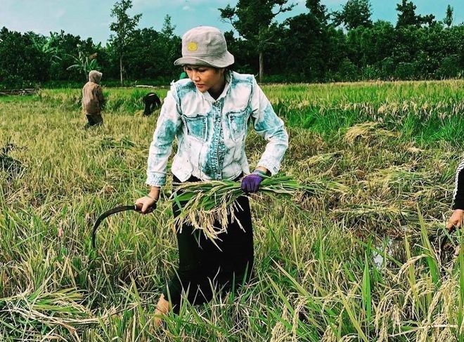 H'Hen Niê luôn xuất hiện với hình ảnh giản dị, mỗi lần về quê là không ngại làm việc chăm chỉ. Ảnh FBNV H'Hen Niê luôn xuất hiện với hình ảnh giản dị, mỗi lần về quê là không ngại làm việc chăm chỉ. Ảnh FBNV