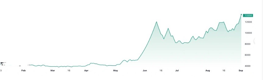 Giá cổ phiếu QCG tăng vọt trong tháng 6 và duy trì đà tăng đến nay. Nguồn Tradingview Giá cổ phiếu QCG tăng vọt trong tháng 6 và duy trì đà tăng đến nay. Nguồn Tradingview