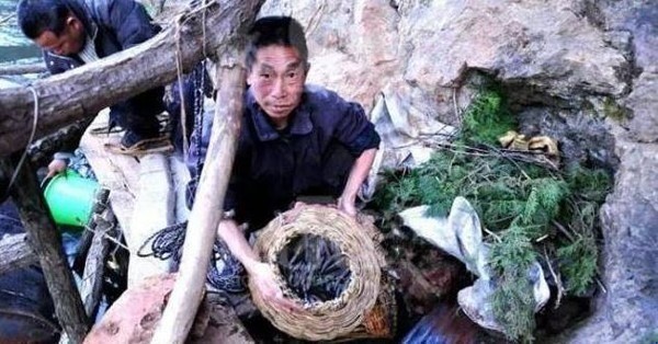 Hàng năm vào dịp Tết Thanh minh trong hang có rất nhiều cá. Ảnh internet Hàng năm vào dịp Tết Thanh minh trong hang có rất nhiều cá. Ảnh internet