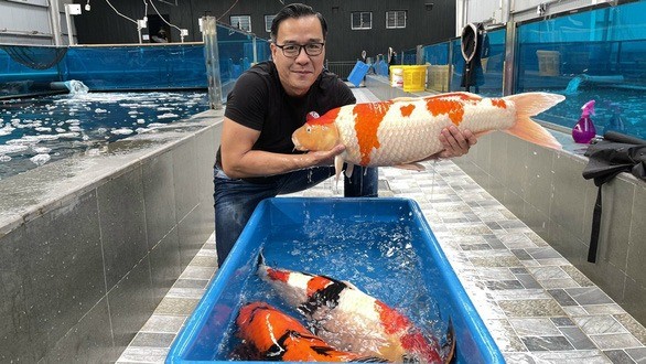 Vua cá Koi gặp nhiều khó khăn sau khi chia tay Hà Thanh Xuân. Ảnh internet Vua cá Koi gặp nhiều khó khăn sau khi chia tay Hà Thanh Xuân. Ảnh internet