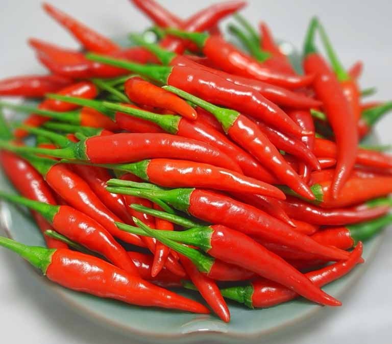 Loại lá mọc đầy vườn, người Việt thường bỏ đi nhưng lại tốt ngang thuốc bổ - Ảnh 3 Loại lá mọc đầy vườn, người Việt thường bỏ đi nhưng lại tốt ngang thuốc bổ - Ảnh 3