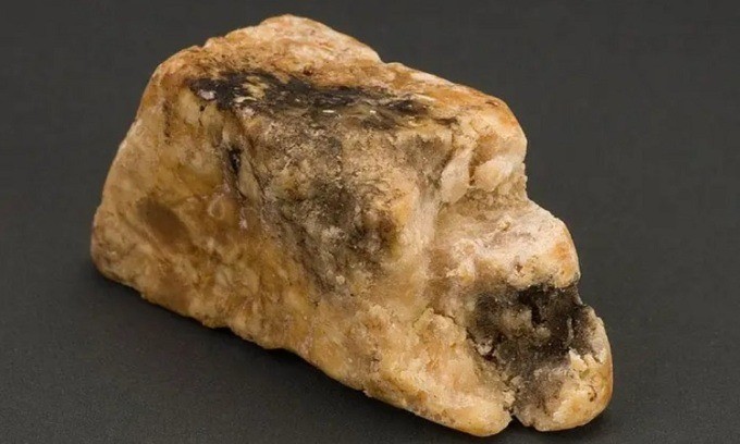 Hình thức thường thấy nhất của long diên hương. Ảnh internet