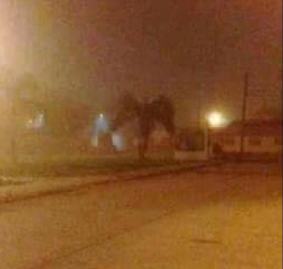 Bí ẩn 3 hiện tượng có thật khiến nhà khoa học đau đầu tìm không ra lời giải - Ảnh 2