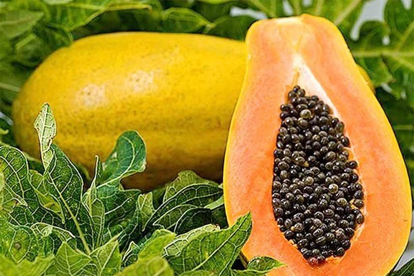 Đu đủ chín có đặc tính chống lại ung thư. Ảnh internet