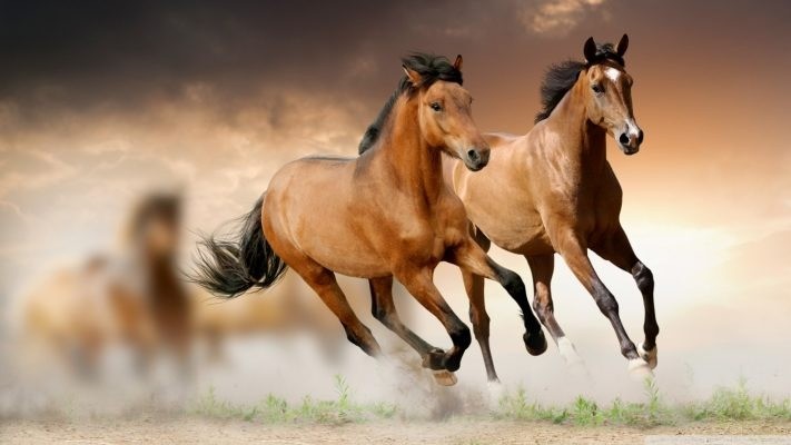 2 ngày tới, 3 con giáp này 'trúng số', tiền đẻ ra tiền, tiêu mãi không hết - Ảnh 2 2 ngày tới, 3 con giáp này 'trúng số', tiền đẻ ra tiền, tiêu mãi không hết - Ảnh 2