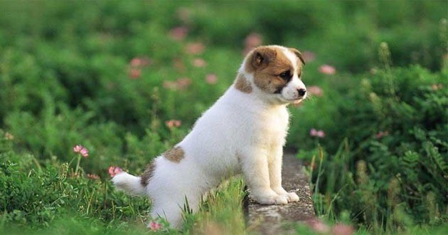 Thần tài gọi tên, 1 tuần tới, 3 con giáp này hứng lộc, kiếm tiền chưa bao giờ dễ đến vậy - Ảnh 3 Thần tài gọi tên, 1 tuần tới, 3 con giáp này hứng lộc, kiếm tiền chưa bao giờ dễ đến vậy - Ảnh 3