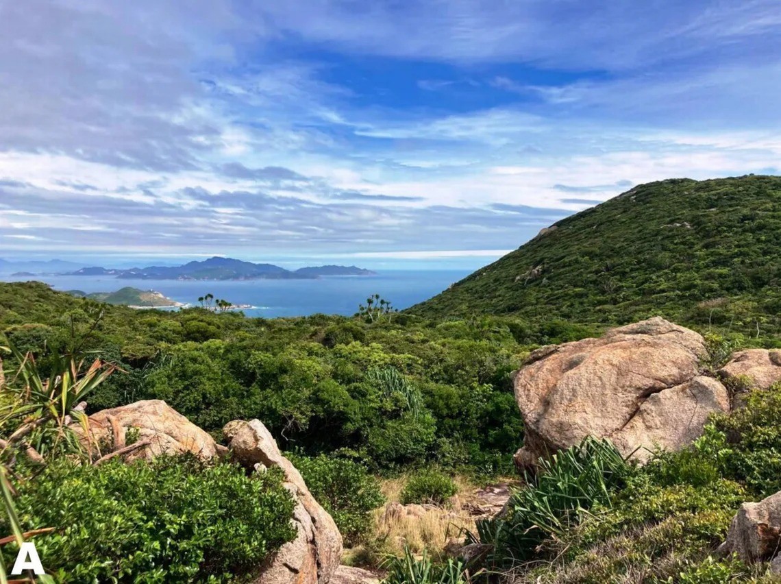 Khu vực chung nơi phát hiện mẫu vật Dibamus tropcentr hay còn gọi là da mù Ninh Thuận