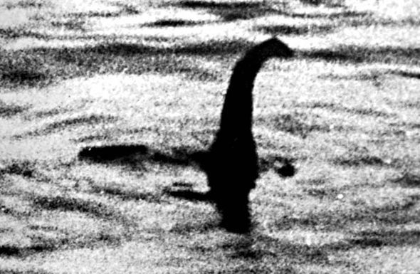 Một hình ảnh ban đầu được cho là Nessie Một hình ảnh ban đầu được cho là Nessie
