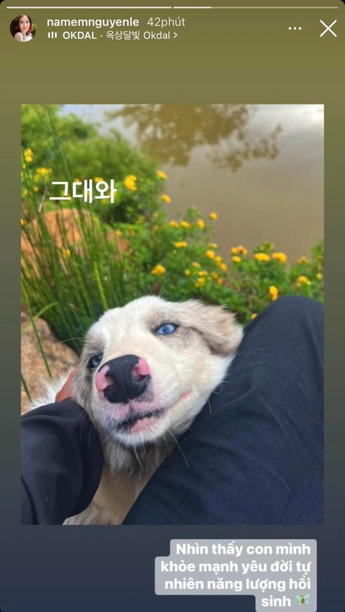 Nam Em khoe con cưng và đã vui trở lại. Ảnh IGNV Nam Em khoe con cưng và đã vui trở lại. Ảnh IGNV
