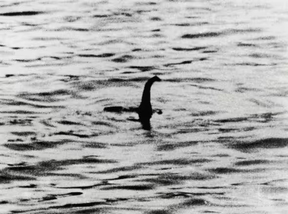 Các nhà điều tra đã tìm kiếm Nessy trong gần một thế kỷ. Ảnh Getty Các nhà điều tra đã tìm kiếm Nessy trong gần một thế kỷ. Ảnh Getty