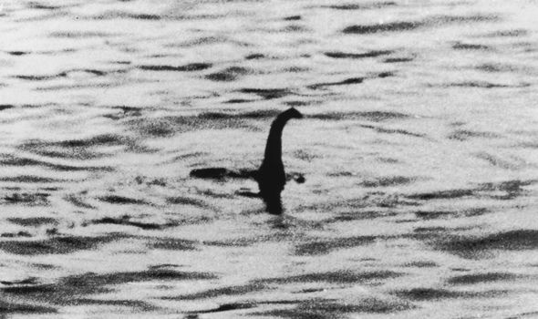 Quái vật hồ Loch Ness: Các nhà khoa học cuối cùng cũng tiết lộ danh tính thực sự của sinh vật huyền thoại - Ảnh 1 Quái vật hồ Loch Ness: Các nhà khoa học cuối cùng cũng tiết lộ danh tính thực sự của sinh vật huyền thoại - Ảnh 1