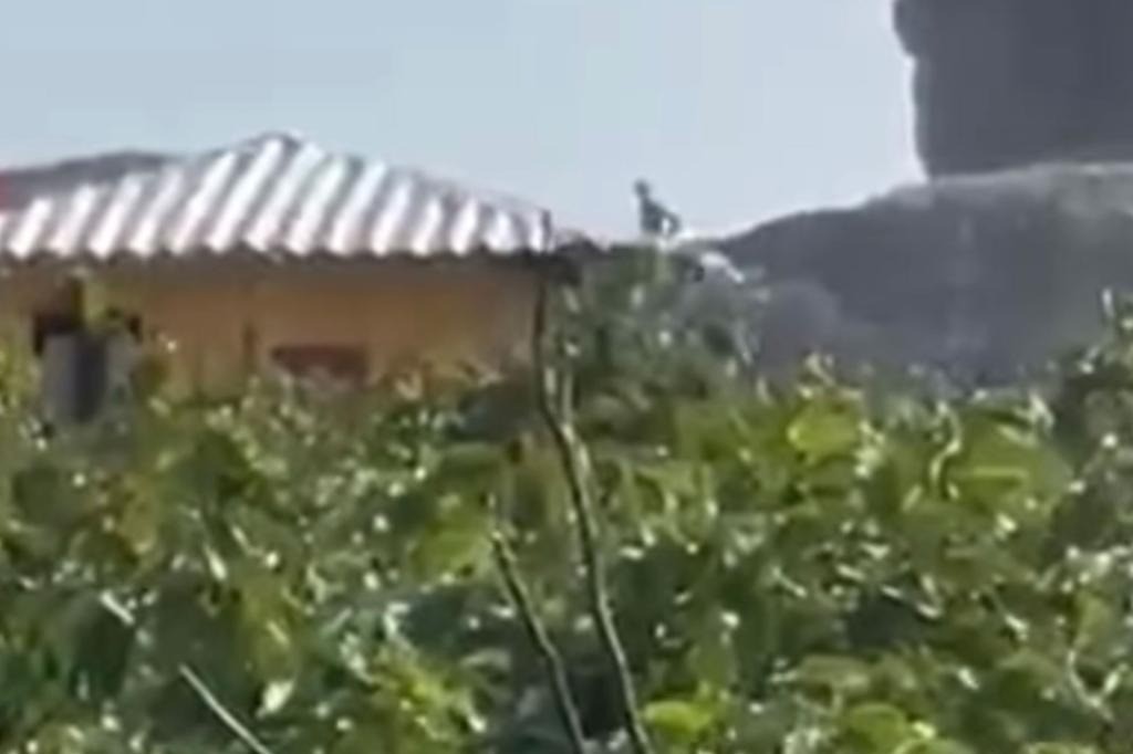 Phương thức tiếp cận khá xa nên hình ảnh không được rõ nét về hai sinh vật bí ẩn này. Ảnh New York Post