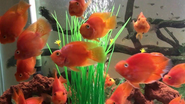Nhà nào bỗng có 3 hiện tượng này vào dịp cuối năm thì sắp đổi đời, tiền vào như nước sông Đà - Ảnh 3 Nhà nào bỗng có 3 hiện tượng này vào dịp cuối năm thì sắp đổi đời, tiền vào như nước sông Đà - Ảnh 3