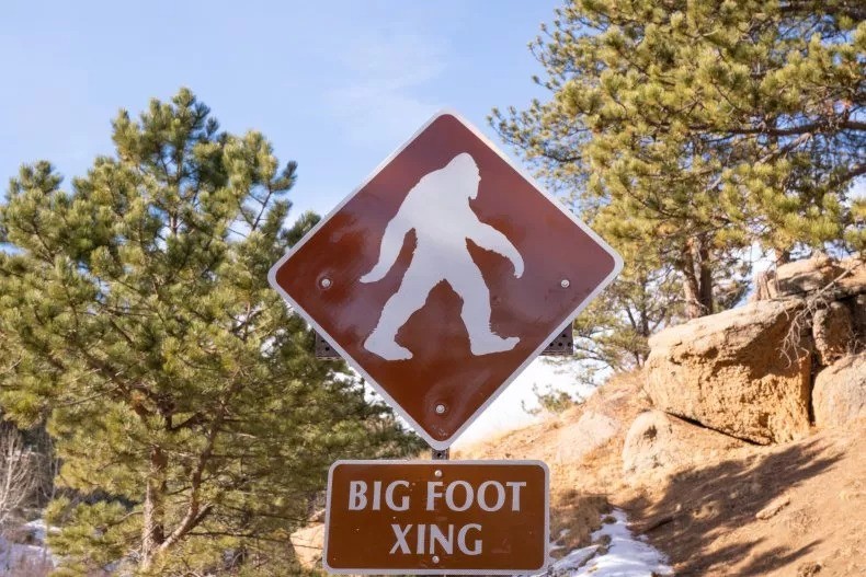 Bigfoot còn được gọi với tên khác là sasquatch, là một quái vật hình người huyền bí đã được nhìn thấy khắp Bắc Mỹ. Ảnh Newsweek Bigfoot còn được gọi với tên khác là sasquatch, là một quái vật hình người huyền bí đã được nhìn thấy khắp Bắc Mỹ. Ảnh Newsweek