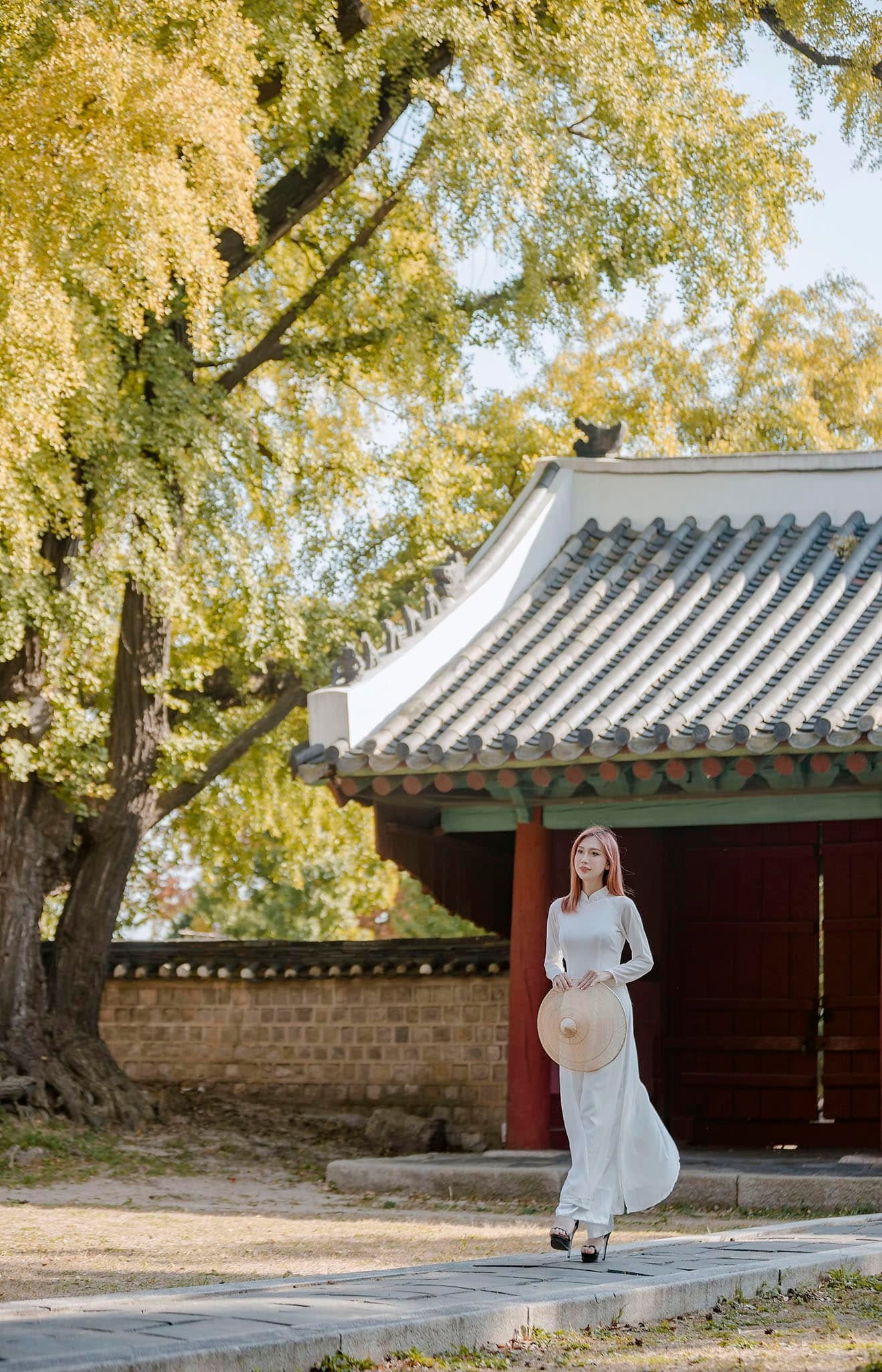 Lynk Lee khoe dáng trong tà áo dài. Ảnh: FBNV