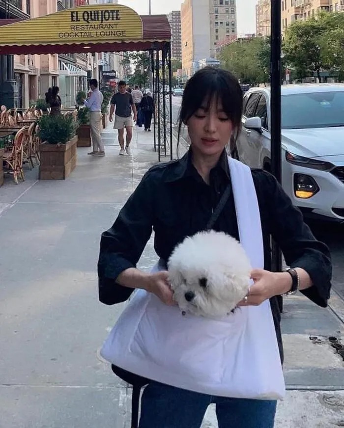 Song Hye Kyo cũng nuôi một chú chó trắng giống với Son Ye Jin. Ảnh: IG Song Hye Kyo cũng nuôi một chú chó trắng giống với Son Ye Jin. Ảnh: IG