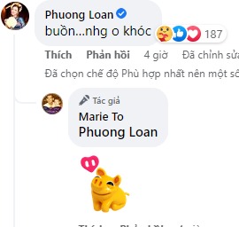 Chia sẻ ngắn ngọn nhưng xúc động của ca sĩ Phương Loan. Ảnh: FB Chia sẻ ngắn ngọn nhưng xúc động của ca sĩ Phương Loan. Ảnh: FB