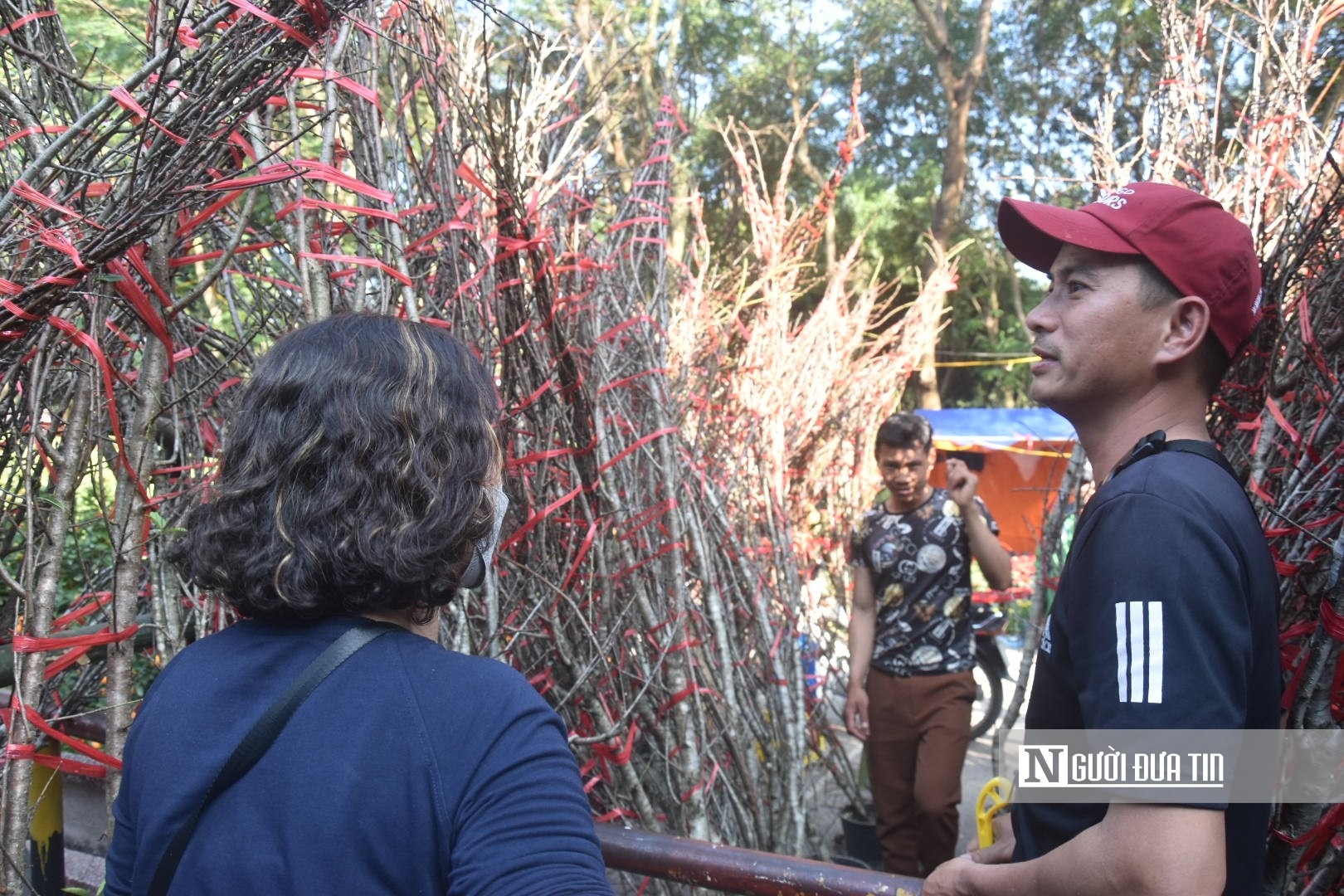 Hàng đào của anh Nguyễn Văn Khỏe.