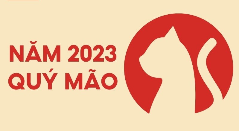 Tổng quan năm 2023. Ảnh: Internet