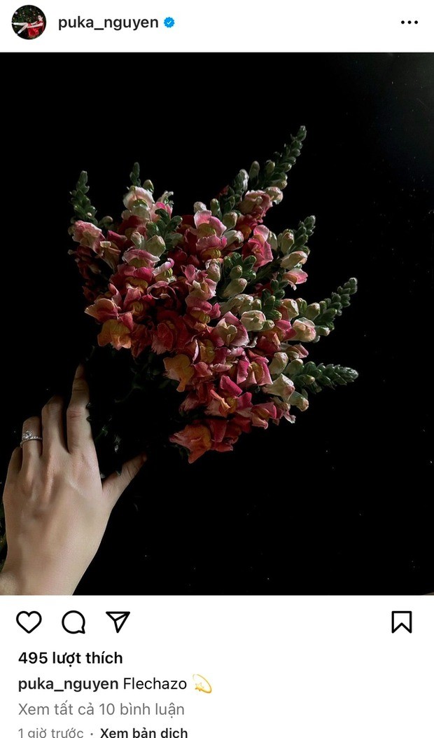 Puka đăng tải khoảnh khắc đáng chú ý. Ảnh: IG