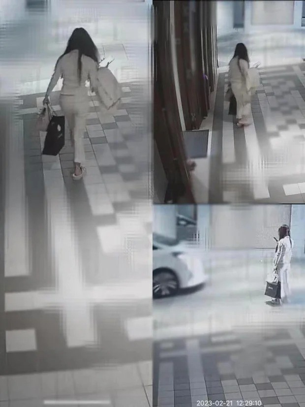 Hình ảnh cuối cùng của nữ người mẫu. Ảnh: Internet