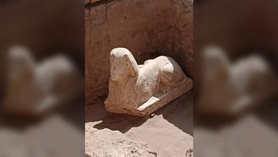 Phát hiện bức tượng nhân sư có khuôn mặt “đặc biệt” - Ảnh 2