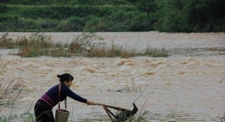 Nhặt được “viên gạch” lạ ở bờ sông, bà lão mất ngay 27 tỷ vì hành động này 1 Nhặt được “viên gạch” lạ ở bờ sông, bà lão mất ngay 27 tỷ vì hành động này 1