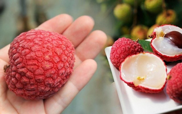 Nắm vững 4 bí quyết sau đây để thoải mái ăn vải không lo bị nóng - Ảnh 3 Nắm vững 4 bí quyết sau đây để thoải mái ăn vải không lo bị nóng - Ảnh 3