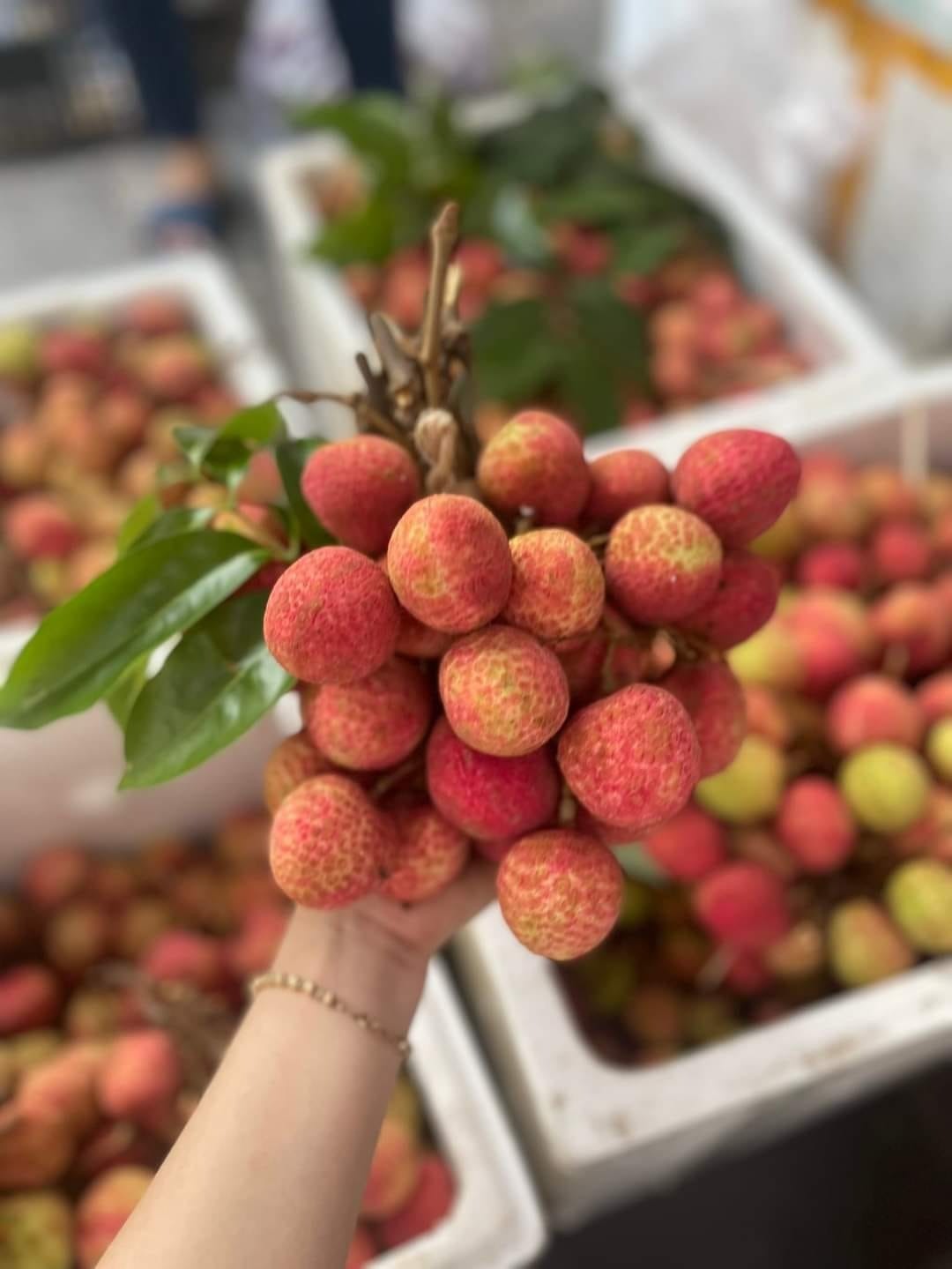 Nắm vững 4 bí quyết sau đây để thoải mái ăn vải không lo bị nóng - Ảnh 1