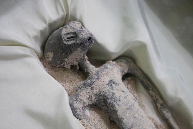 Mẫu vật được cho là người ngoài hành tinh. Ảnh: Internet