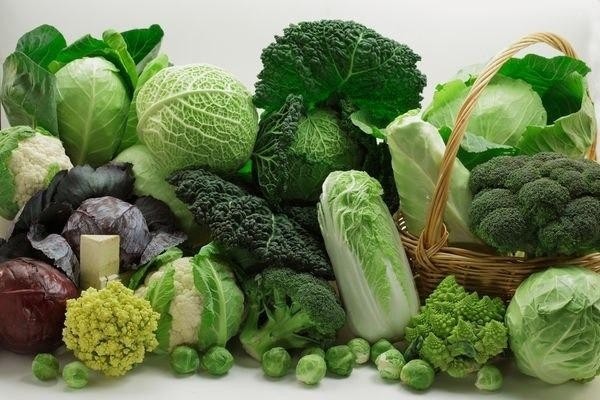 Top 3 loại rau được chuyên gia đánh giá gia tăng tuổi thọ: Ăn vào tốt ngang nhân sâm tổ yến dù giá cực 'bèo' - Ảnh 3 Top 3 loại rau được chuyên gia đánh giá gia tăng tuổi thọ: Ăn vào tốt ngang nhân sâm tổ yến dù giá cực 'bèo' - Ảnh 3