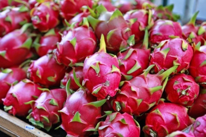 Rằm tháng 8, hứng trọn tài lộc, may mắn và hạnh phúc nếu đặt lên bàn thờ những loại quả này - Ảnh 1 Rằm tháng 8, hứng trọn tài lộc, may mắn và hạnh phúc nếu đặt lên bàn thờ những loại quả này - Ảnh 1