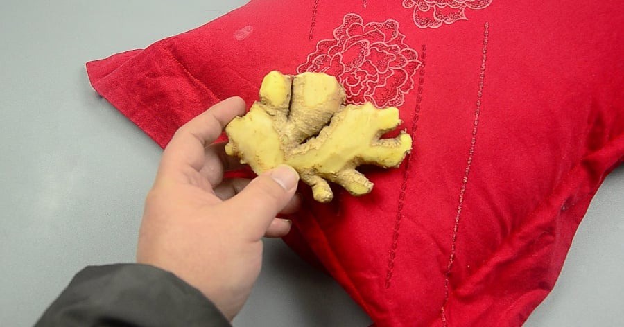 Hành động đặt gừng dưới gối trước khi đi ngủ mang lại lợi ích không ngờ - Ảnh 1 Hành động đặt gừng dưới gối trước khi đi ngủ mang lại lợi ích không ngờ - Ảnh 1