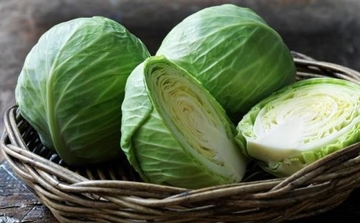 Bắp cải chuẩn bị vào mùa: Loại rau cực tốt này lại có 4 nhóm người nên hạn chế sử dụng - Ảnh 1 Bắp cải chuẩn bị vào mùa: Loại rau cực tốt này lại có 4 nhóm người nên hạn chế sử dụng - Ảnh 1