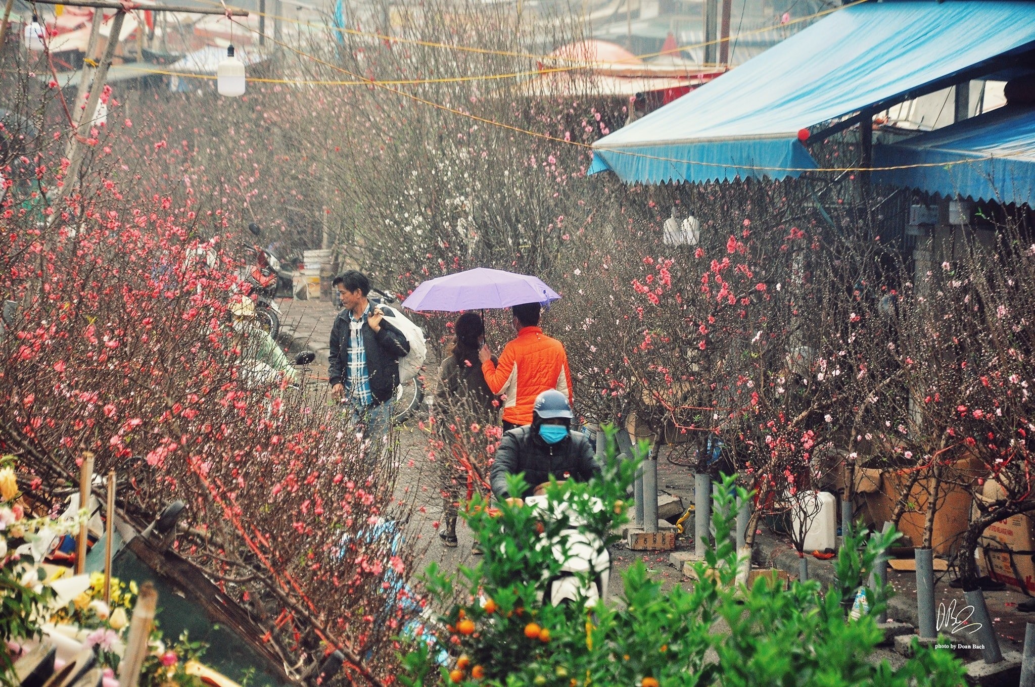 Ảnh: Doãn Bách