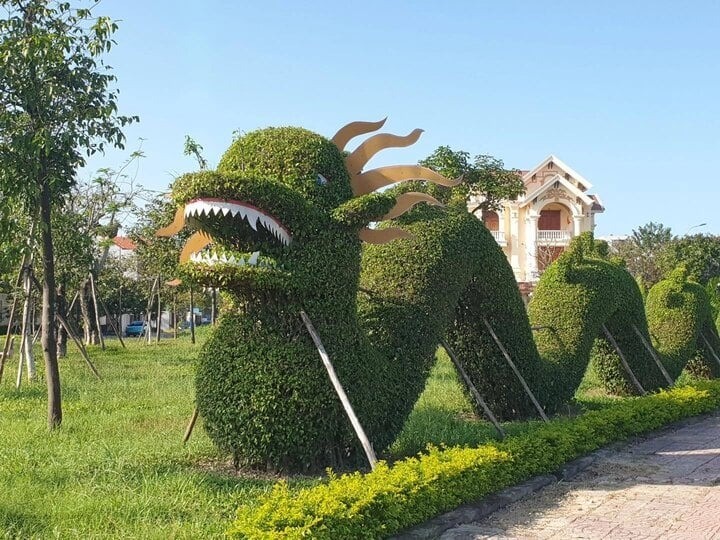Tạo hình rồng ở Quảng Bình. Ảnh: Hùng Trần Tạo hình rồng ở Quảng Bình. Ảnh: Hùng Trần