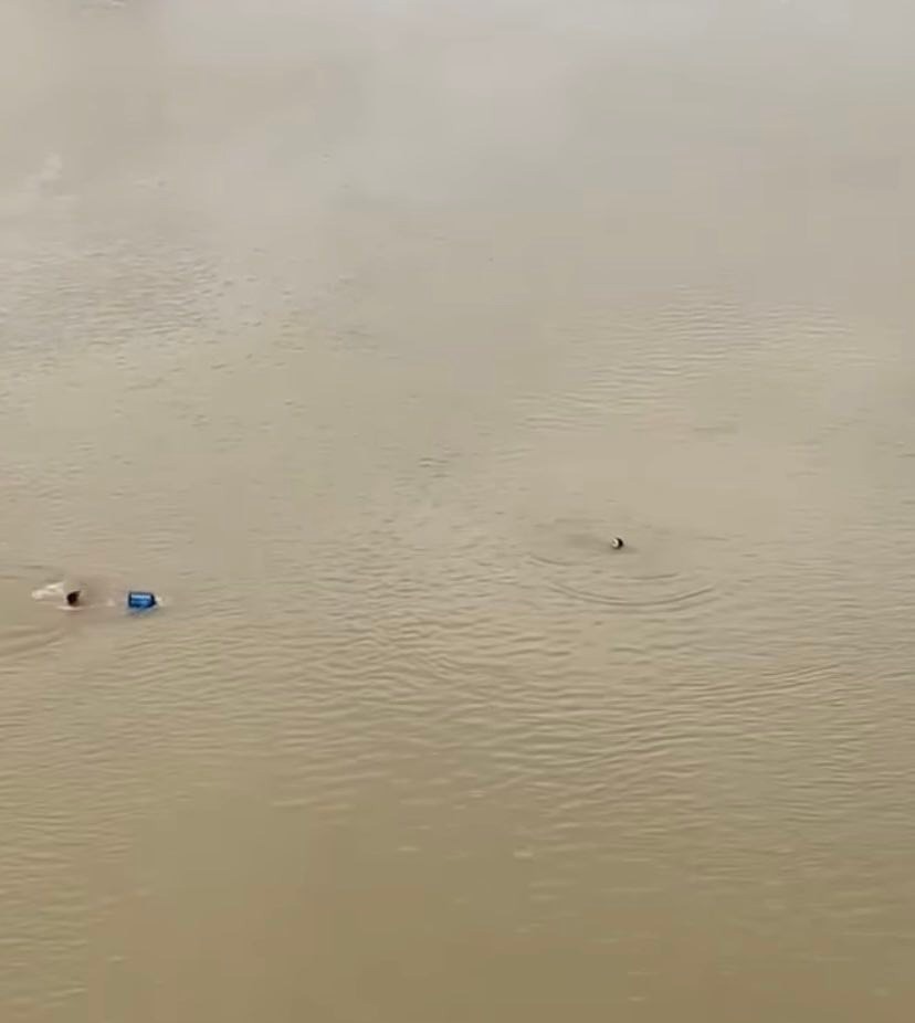 Anh Hiếu cầm can nhựa bơi ra giữa sông cứu người phụ nữ.