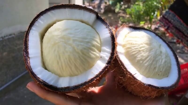 Trong trái dừa, thứ ngon nhất là nước dừa nhưng thứ độc đáo và hấp dẫn nhất lại là mộng dừa. Trong trái dừa, thứ ngon nhất là nước dừa nhưng thứ độc đáo và hấp dẫn nhất lại là mộng dừa.