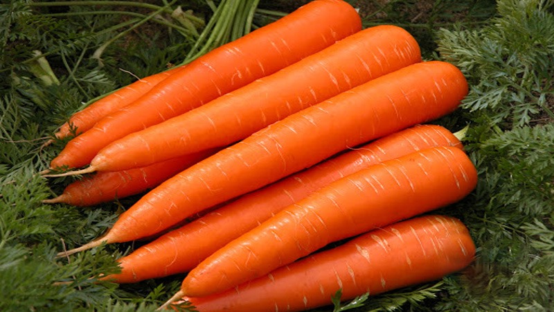 Nhóm thực phẩm giúp đả thông kinh mạch, làm giảm các bệnh huyết khối