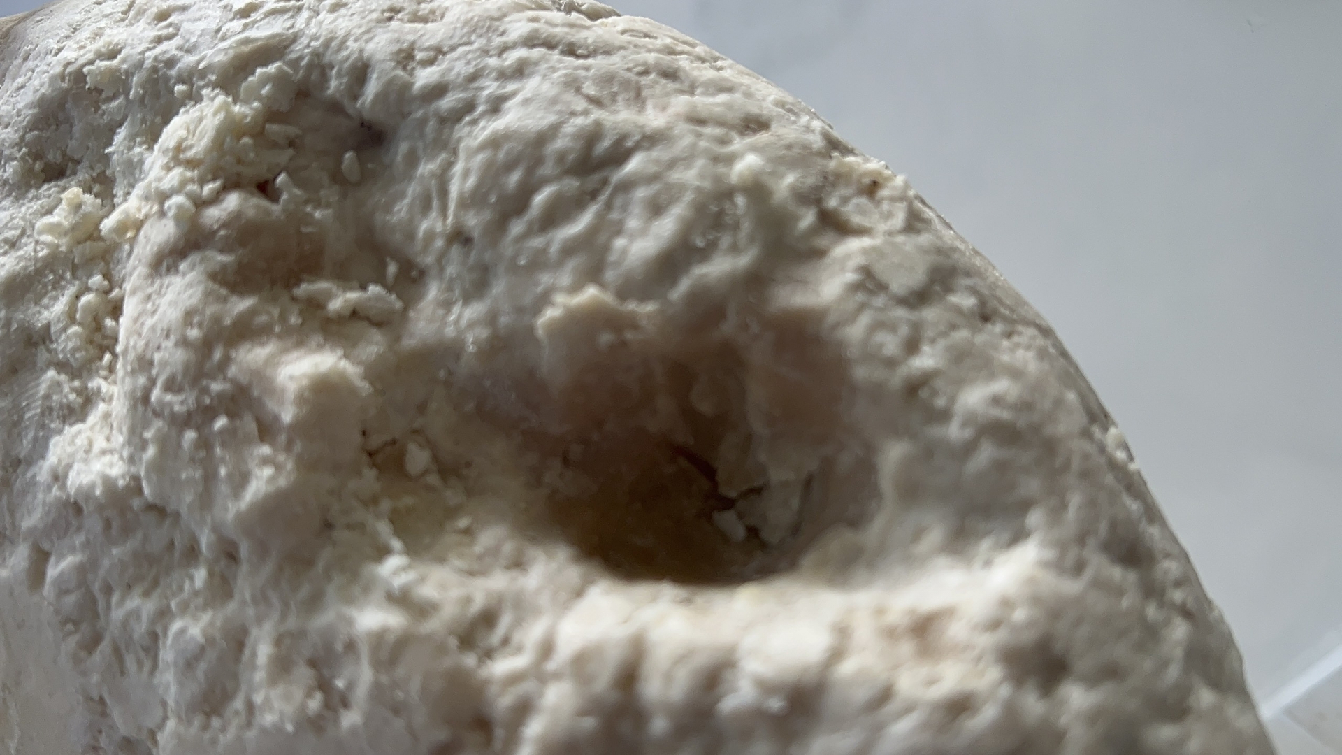 Long diên hương là một chất sáp có giá trị cao, do cá nhà táng tiết ra và thường được tìm thấy trôi nổi trên biển hoặc dạt vào bờ. Nó được sử dụng trong điều chế nước hoa.