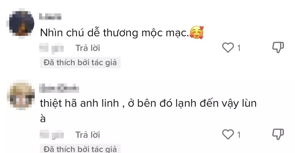 Nhiều dân mạng dành lời khen cho sự giản dị, mộc mạc của MC đình đám. Song cũng cảm thấy sự xuề xòa hơi quá.