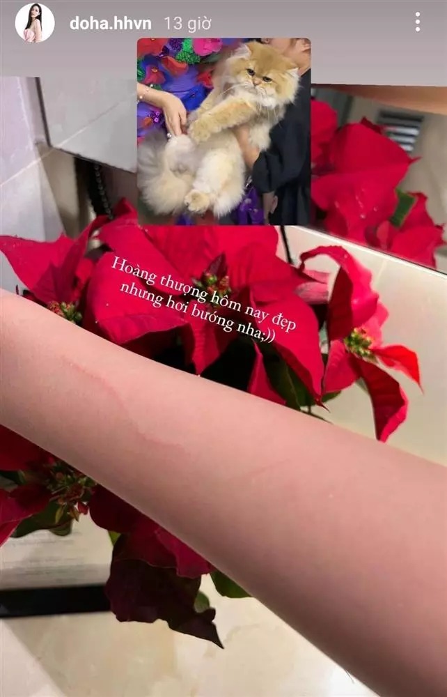 Đỗ Thị Hà gặp sự cố trên sàn diễn thời trang, nét sượng sùng hiện rõ trên gương mặt