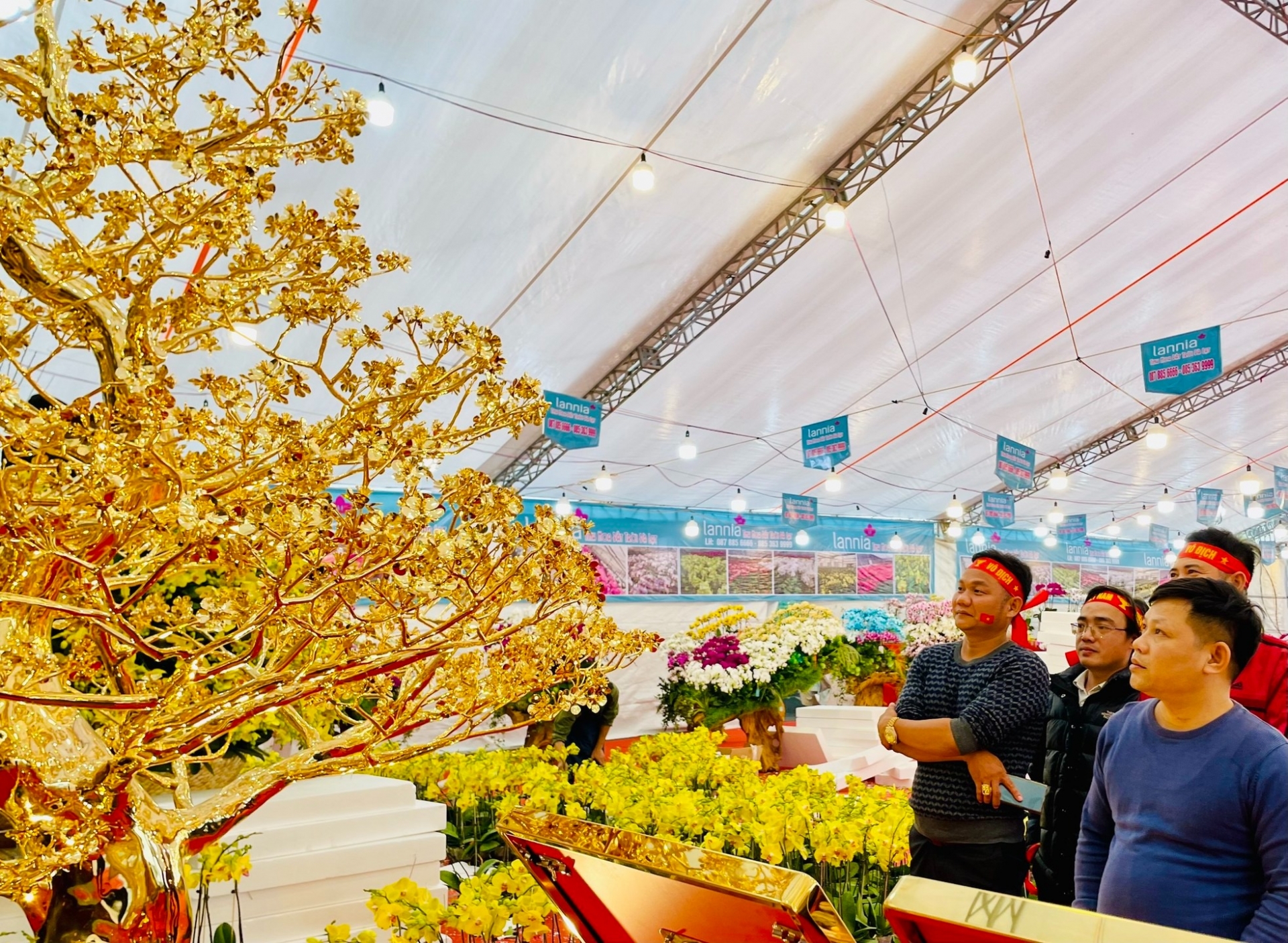 Cây mai thu hút nhiều người đến tham quan, chiêm ngưỡng. Nhiều người quan niệm, màu vàng sang trọng, quý phái của cây mai sẽ giúp gia chủ 'hút' tài lộc. Ảnh: TP