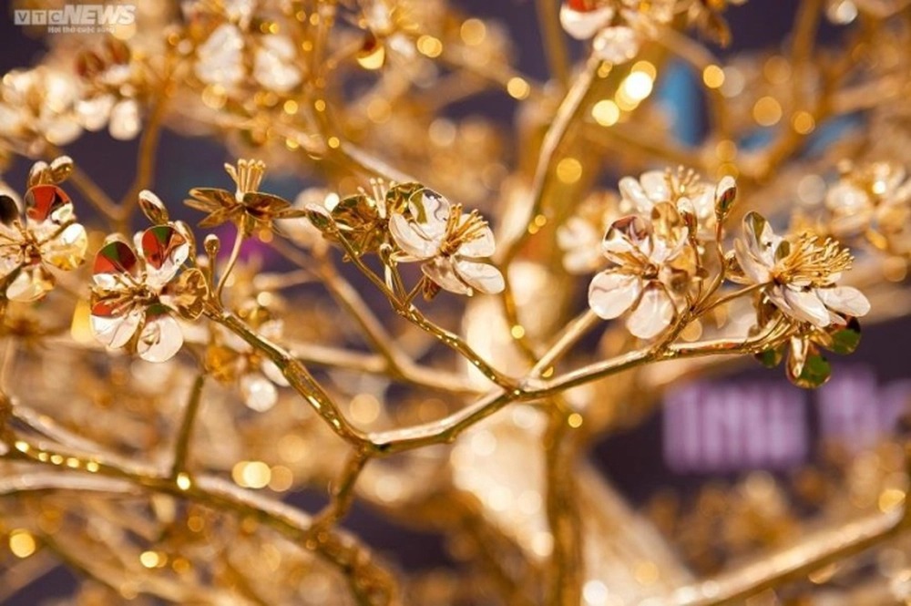 Theo anh Định chia sẻ, hoa mai 5 cánh biểu trưng cho ngũ phúc: Hạnh phúc, may mắn, trường thọ, thành công và hòa bình. Ảnh: VTC News