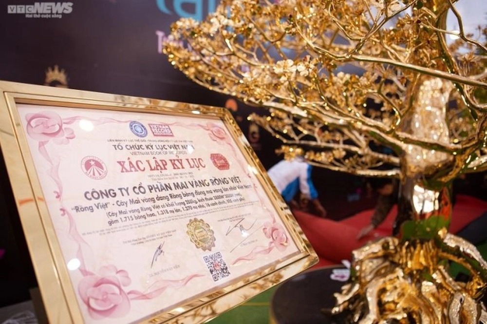 Sản phẩm được Hội Kỷ lục gia Việt Nam xác lập kỷ lục về cây mai bằng đồng mạ vàng 24k lớn nhất Việt Nam. Ảnh: VTC News