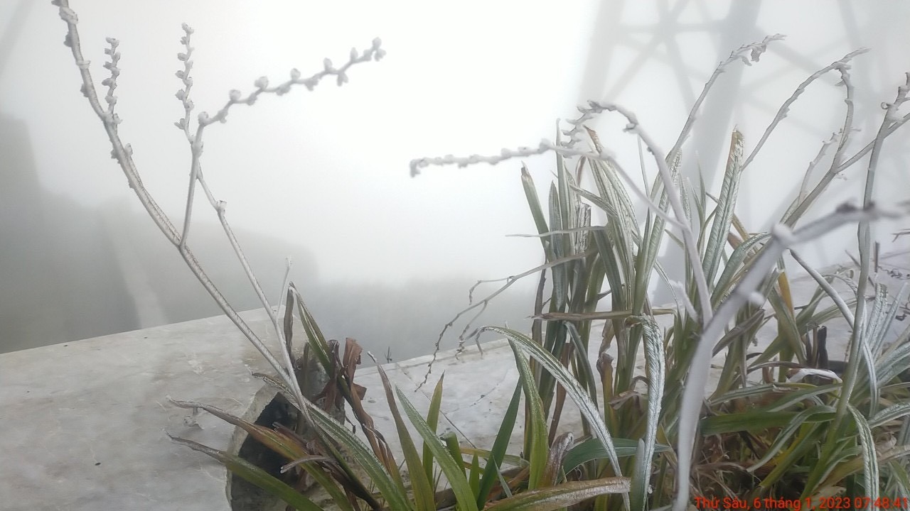 Dự báo, trong các đợt lạnh tiếp theo đỉnh Fansipan sẽ tiếp tục xuất hiện băng giá. Ảnh: FB