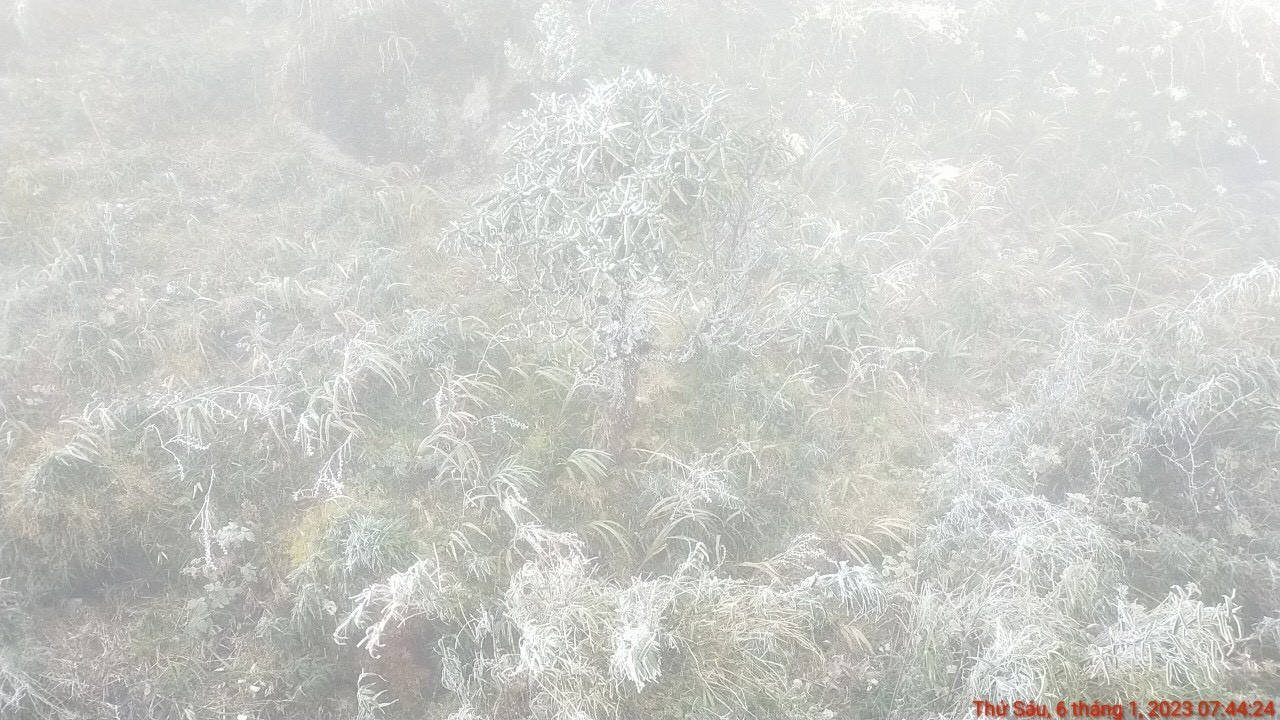 Nguyên nhân xuất hiện băng giá ở Fansipan chủ yếu là do độ cao. Cứ lên độ cao 100m nhiệt độ giảm khoảng 0,6 độ C.