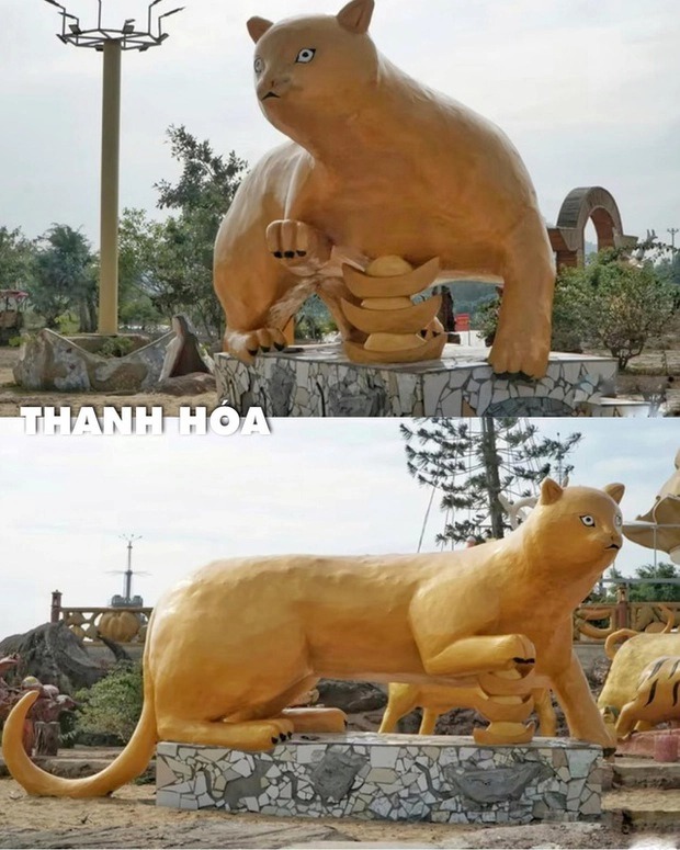 Mèo Thanh Hóa chạy bộ quanh cầu Hàm Rồng 30 km mỗi ngày nên trông cơ thể lực lưỡng hẳn.