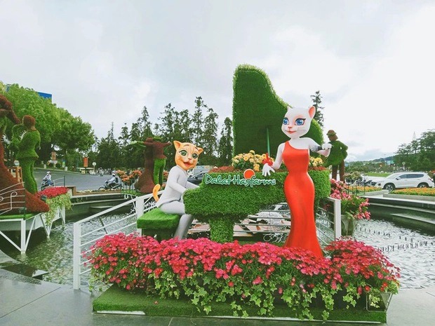 Những chú mèo tại Đà Lạt không chỉ đẹp lạ mà còn 'biết đàn biết hát' để chào đón không khí tết đến xuân về đầy sôi động.