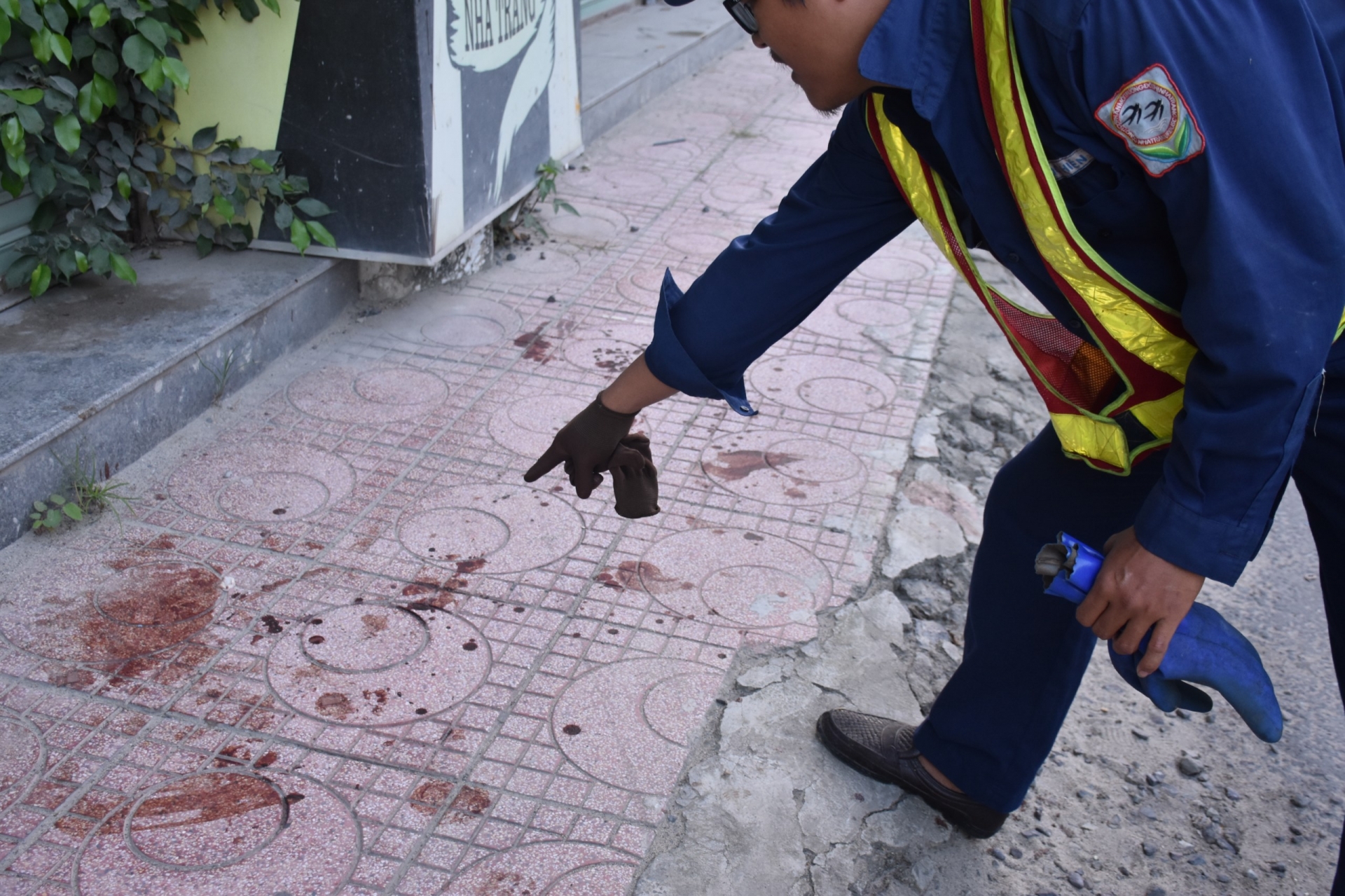 Hiện trường du khách nước ngoài bị chó tấn công. Ảnh: M.C.